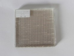 夾絲玻璃