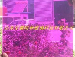 彩色夾膠玻璃