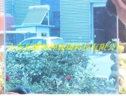 彩色夾膠玻璃