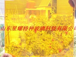 彩色夾膠玻璃