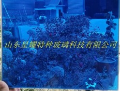 彩色夾膠玻璃